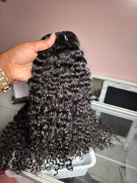 Burmese Curly